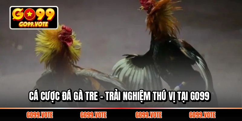 Cá Cược Đá Gà Tre