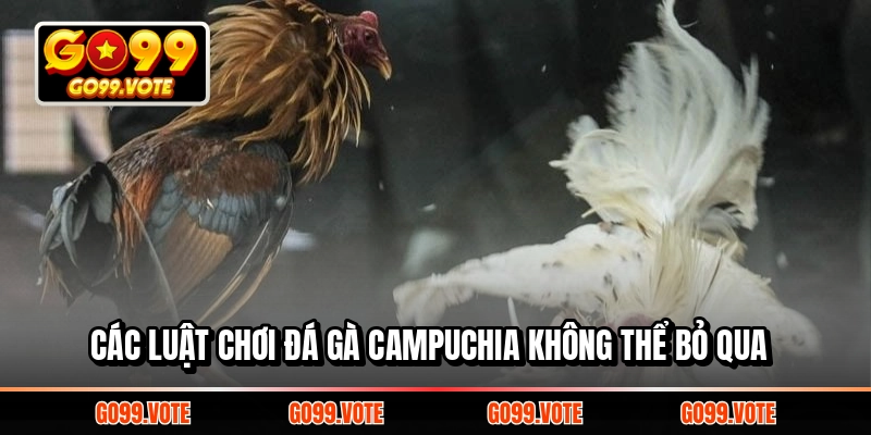 Các luật chơi đá gà Campuchia không thể bỏ qua
