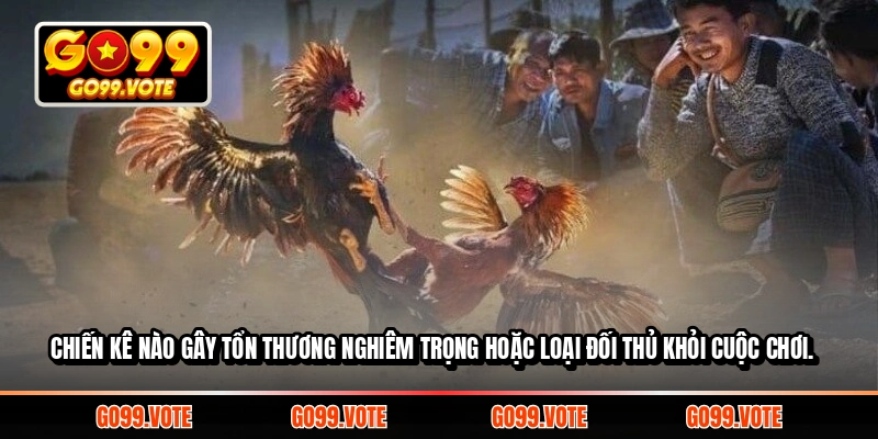 Chiến kê nào gây tổn thương nghiêm trọng hoặc loại đối thủ khỏi cuộc chơi
