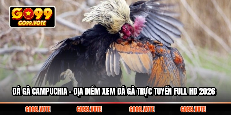 đá gà Campuchia