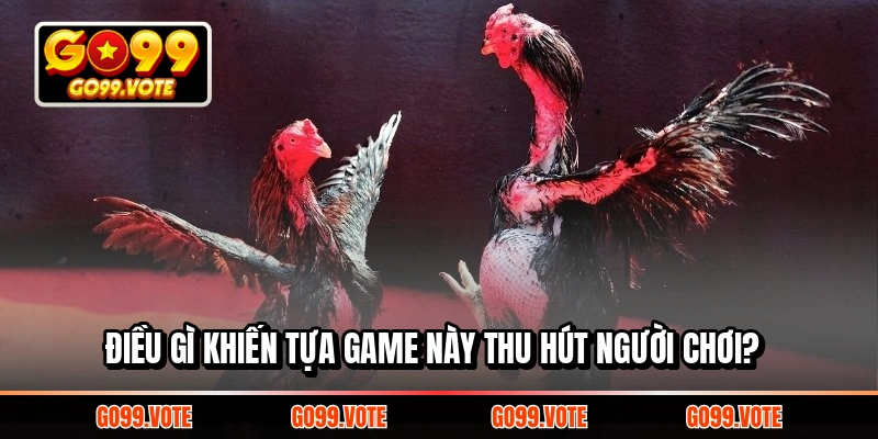 Điều gì khiến tựa game này thu hút người chơi?